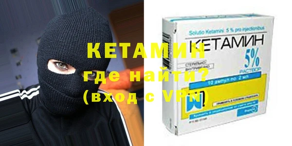индика Бородино