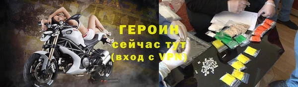 индика Бородино