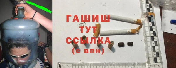 индика Бородино
