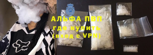 индика Бородино