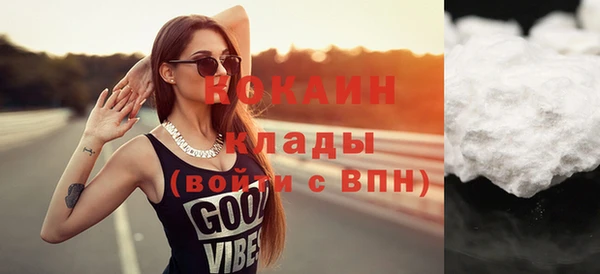 индика Бородино