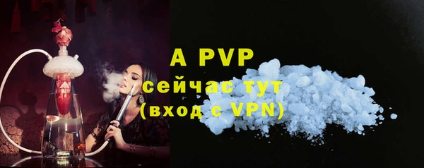 индика Бородино