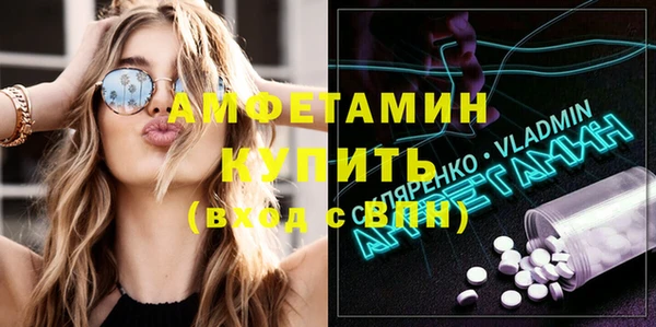 индика Бородино