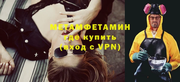 индика Бородино